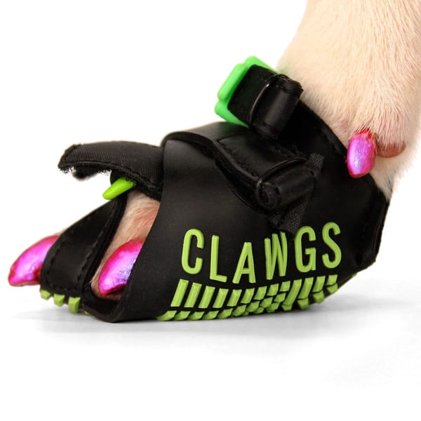Clawgs open-toe dog booties