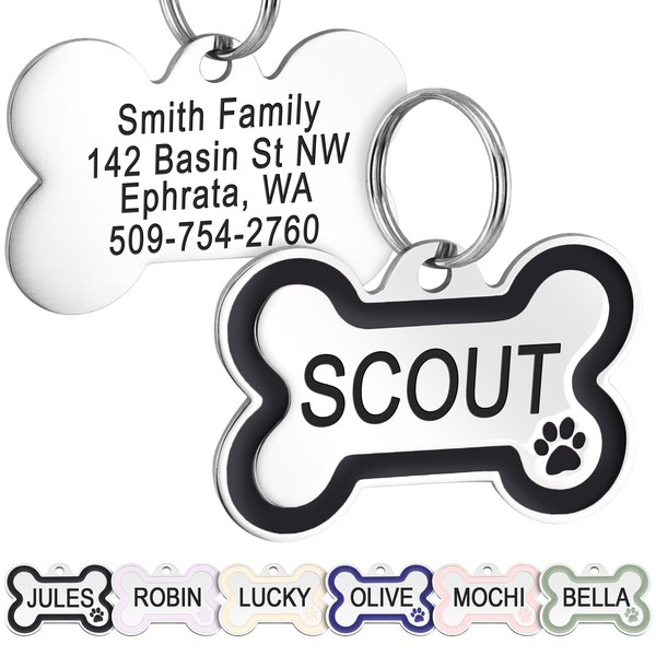 Engraved stainless steel dog ID tag