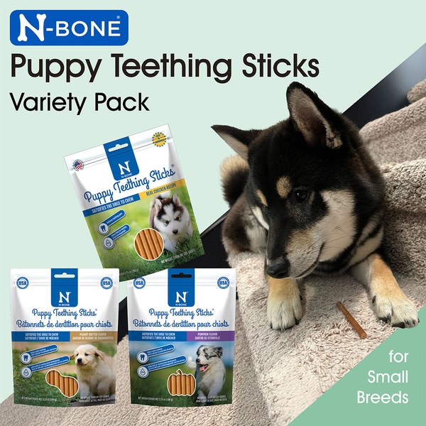 N-Bone puppy teething sticks