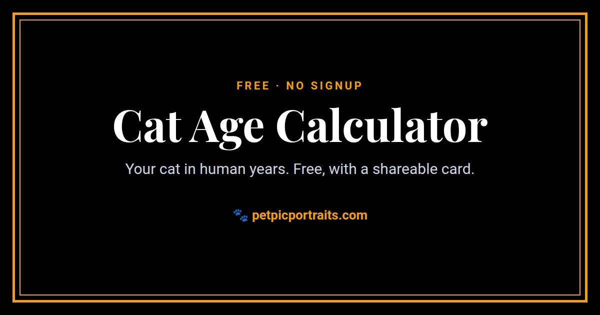 Cat Age Calculator, a free pet calculator by Pet Pic Portraits
