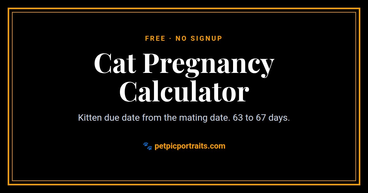 Cat Pregnancy Calculator, a free pet calculator by Pet Pic Portraits