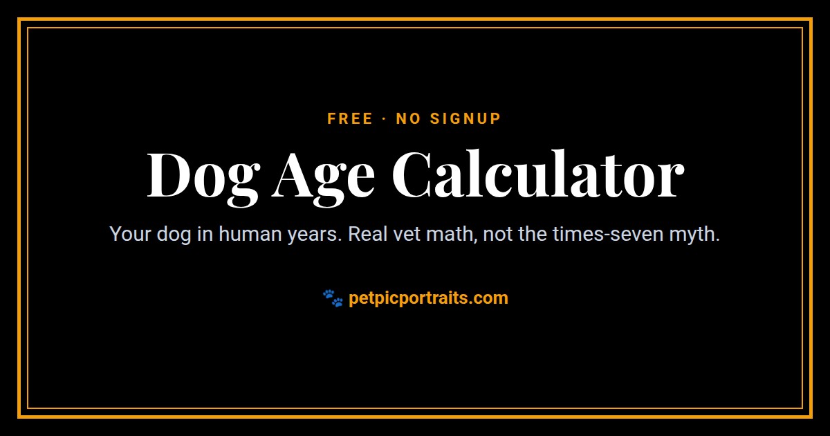 Dog Age Calculator, a free pet calculator by Pet Pic Portraits
